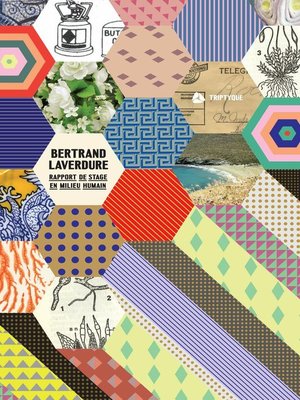 cover image of Rapport de stage en milieu humain